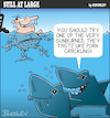 Cartoon: Still at large 95 (small) by bindslev tagged shark,sharks,attack,attacks,fish,pork,crackling,sunburn,water,sea,bather,swimmer,swimming,beach,bondi,hungry,ditty,eat,eating,lunch,dinner,snack,snacks,tourist,tourists,sunburned,food,chain,chains,predator,predators,prey,preys