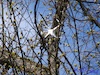 Cartoon: The wings came back (small) by Kestutis tagged observagraphics,kestutis,lithuania